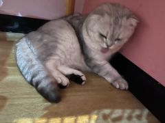 -悠米私人影院(街道口店)