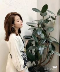 -BHG Hair Salon