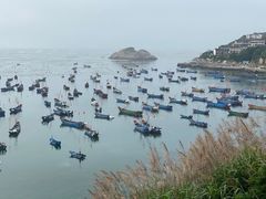 -枸杞岛
