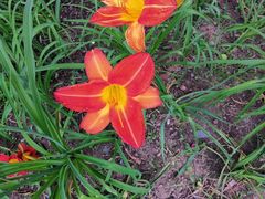 -长春公园(普阳街道)