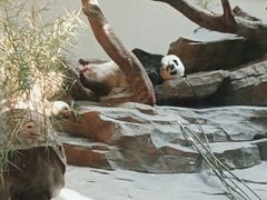 -宁波野生动物园