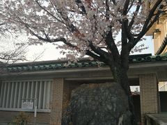 -弥荣会馆日本传统艺能表演