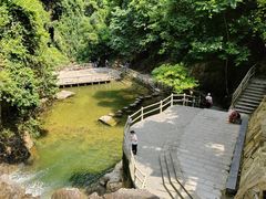-鼎湖山风景区