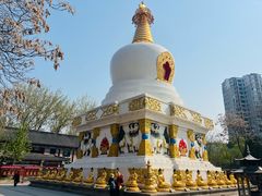 -护国法轮寺