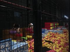 -嘿哟动霸CHUA·新潮玩运动娱乐中心·蹦床滑冰团建乐园