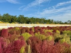 -天津东丽湖风景区