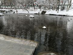 -水磨沟公园