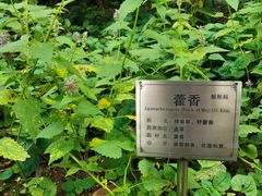 -广州神农草堂中医药博物馆