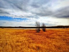 -塞罕坝国家级自然保护区