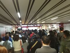 -桃浦新村(地铁站)