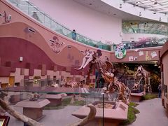 -陕西自然博物馆