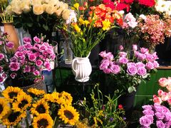 -G-Super 绿地优选(徐汇绿地缤纷城店)