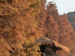 -采石矶景区