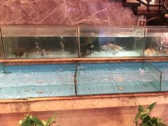 水产区-饭怕鱼(阳光100店)