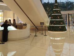 -深圳湾万象城(南山店)