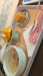 -太乙康·中式美养空间