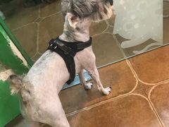 -李小姐の猫咖啡馆(五角场店)