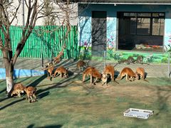 -西霞口神雕山野生动物世界