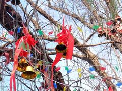 -东钱湖小普陀景区