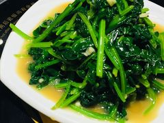 芥末菠菜-老蜀人川菜馆(中关村店)