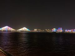 -武汉两江游览·夜游长江(汉口粤汉码头)