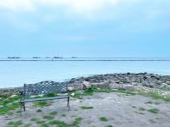 -黄金湖岸