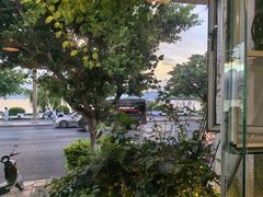 -野菌皇海景野生菌火锅(滨海大道店)