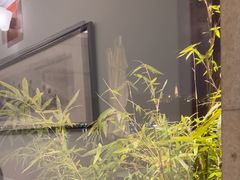 -湖畔居茶楼(湖滨店)