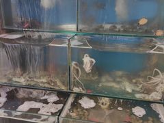 水产区-小郭私房菜·海肠捞饭店(学士街店)