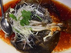 清蒸多宝鱼-苏浙汇(朝外店)