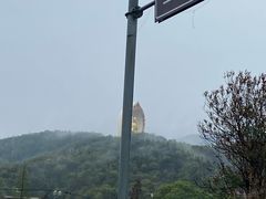 -庐山风景名胜区-东林大佛