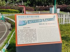 -神仙树公园