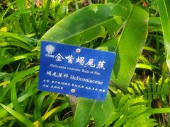 -中国科学院西双版纳热带植物园