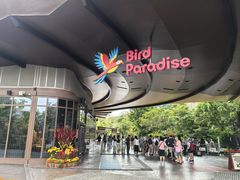 -新加坡飞禽公园