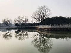-八大山人梅湖景区