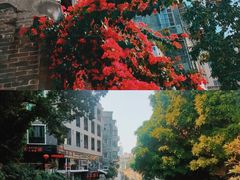 -黄埔古港