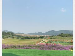-光明小镇欢乐田园