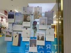 -美可普口腔医院(东街分店)