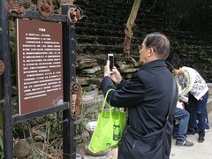 -老木棉·匠园