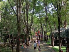 -草根堂农场