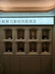 -阅年轻·AI家庭健康体质调理
