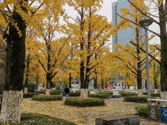 -两江幸福广场