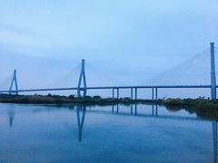 -芒洲湿地公园