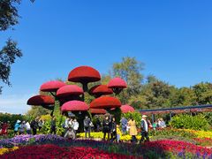 -沈阳植物园