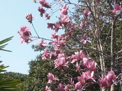 -中国茶叶博物馆(双峰馆区)