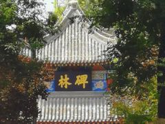 -西安碑林博物馆