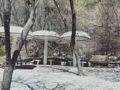 -红崖峡谷景区
