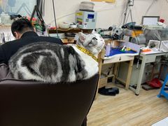 -百金通黄金回收首饰定制维修(珠江路总部)