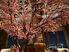 -金轩中餐厅 Jin Xuan(浦东丽思卡尔顿酒店)
