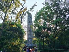 -上海佘山国家森林公园天马山园